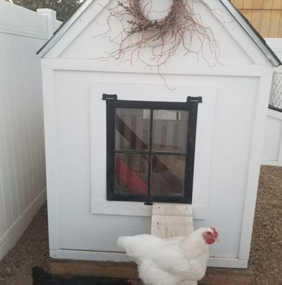 Meet your Posher, Cindy